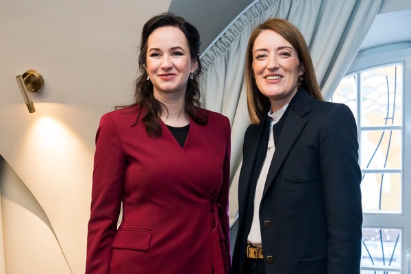 image-from-the-document-manager-2