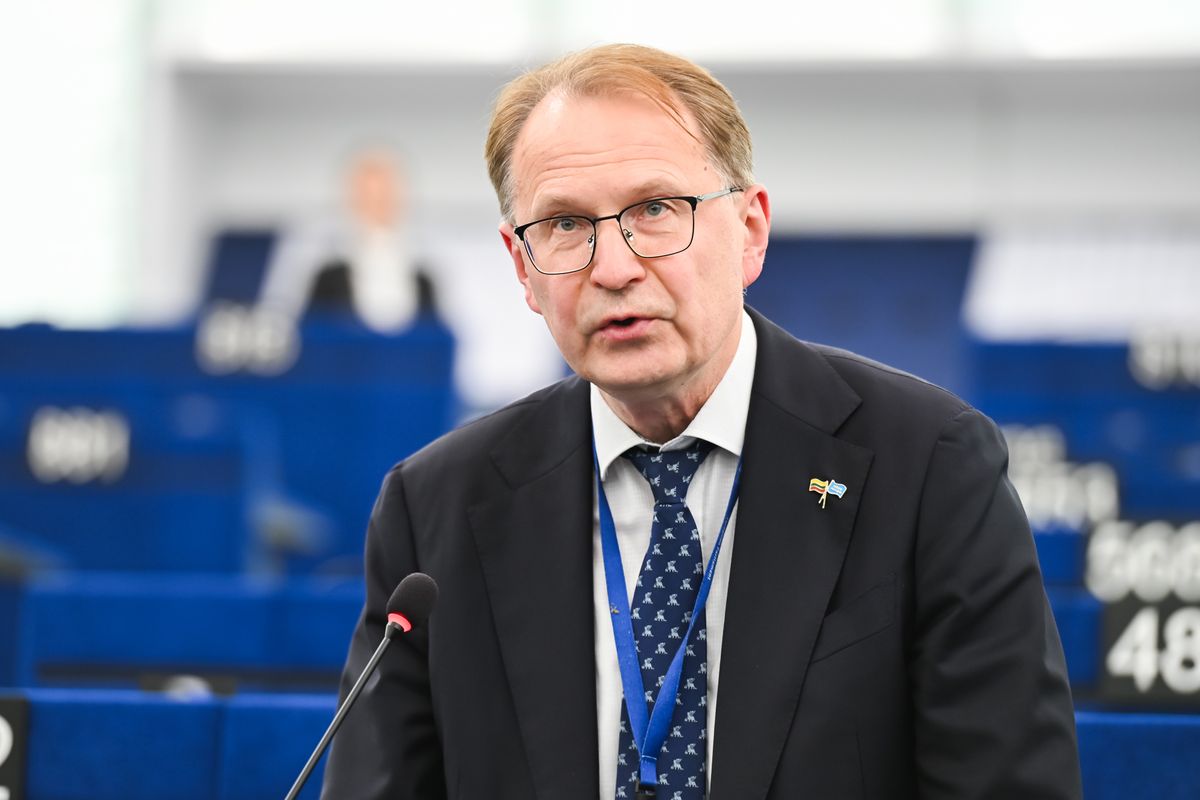 EP narys Dainius Žalimas kalba salėje